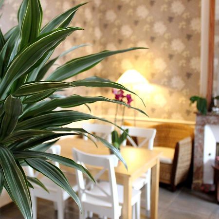 Hotel Les Aubepines 일리에 외부 사진
