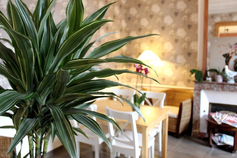 Hotel Les Aubepines 일리에 외부 사진